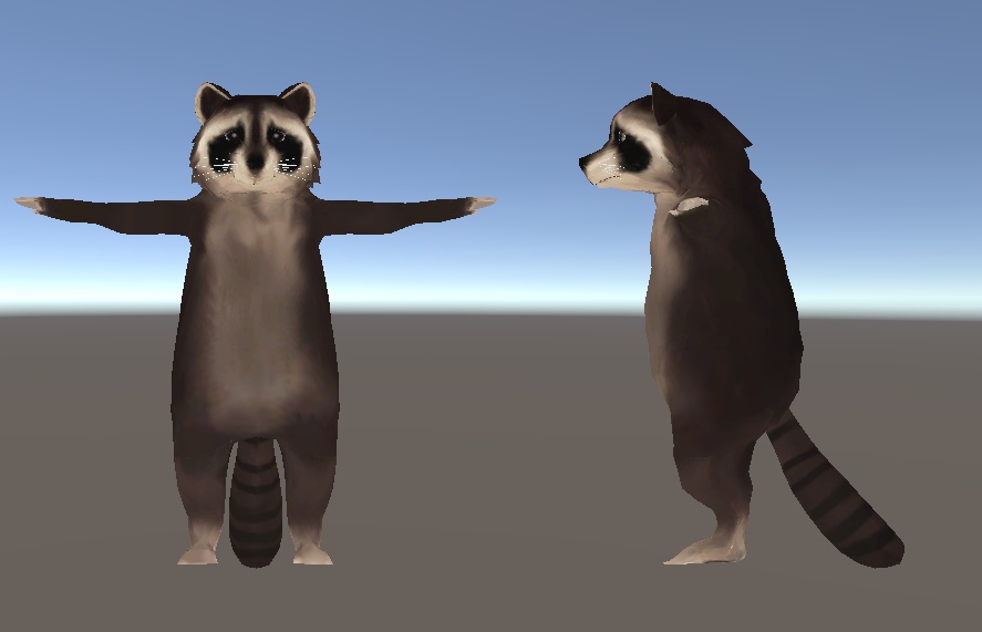 VRChat想定アライグマアバター