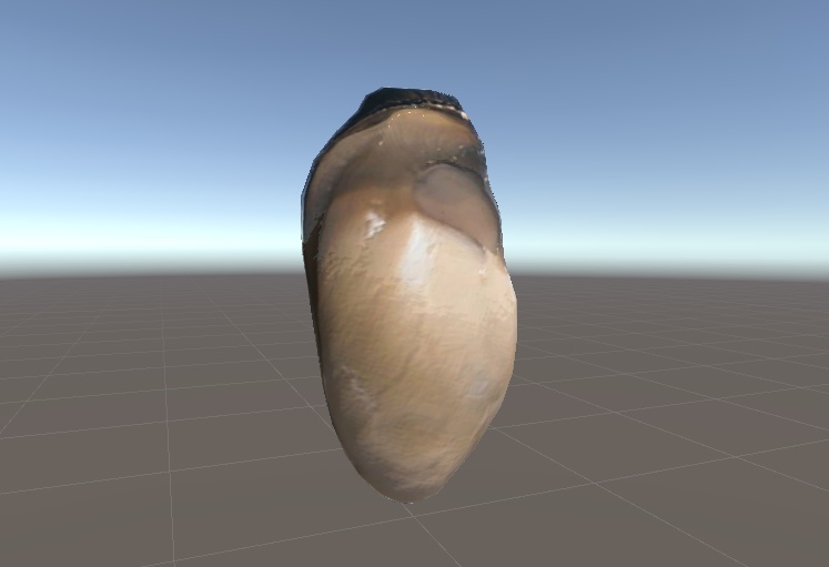生牡蠣3Dモデル