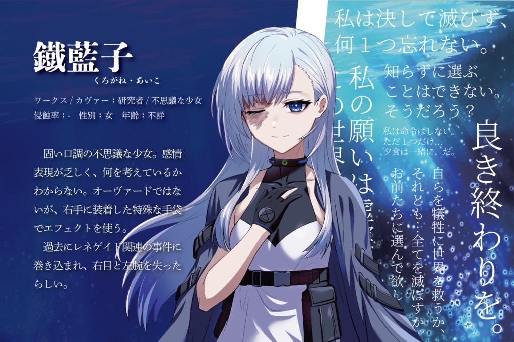 【DX3rd】On the way to BLUE BLUE:電子版【ジャーム化モノプレイ】SPLL:E113151