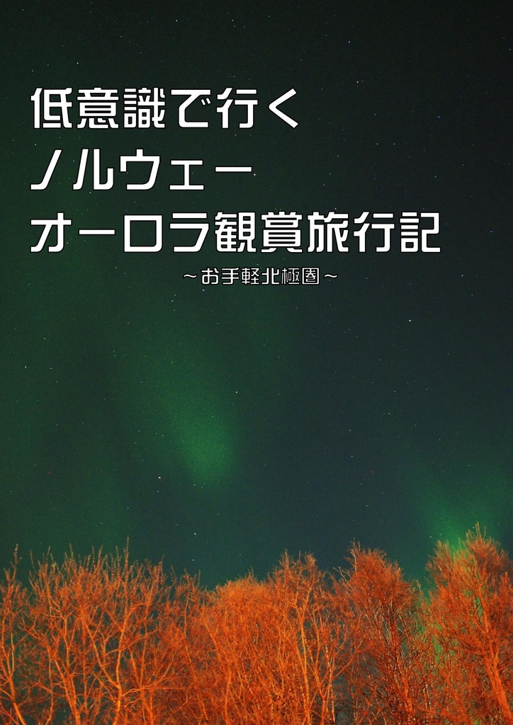【DL版】低意識で行くノルウェー トロムソ オーロラ観賞旅行記 ～お手軽北極圏～