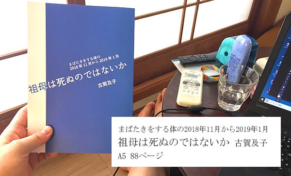 2冊セット 日記の本「祖母は死ぬのではないか」「どこかの母の模倣だな」