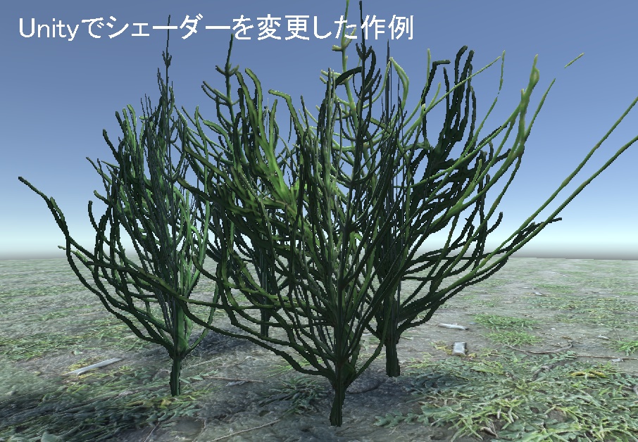 【無料&支援版】3Dモデルの植物