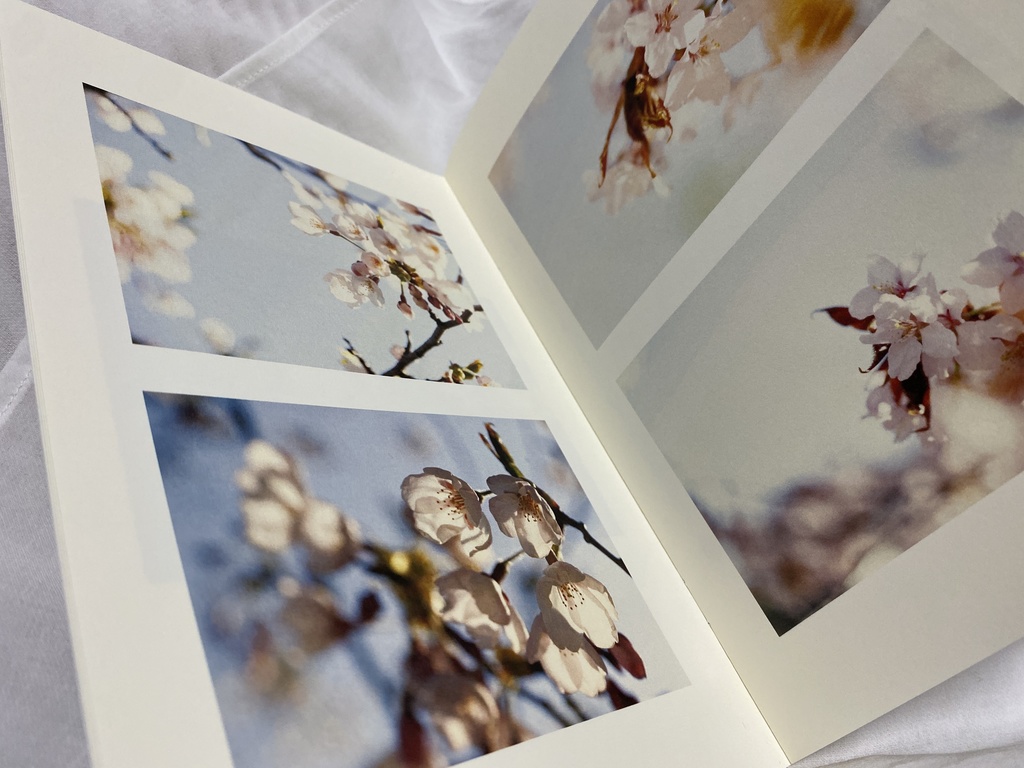 2019年さくら本『花のみちゆき』