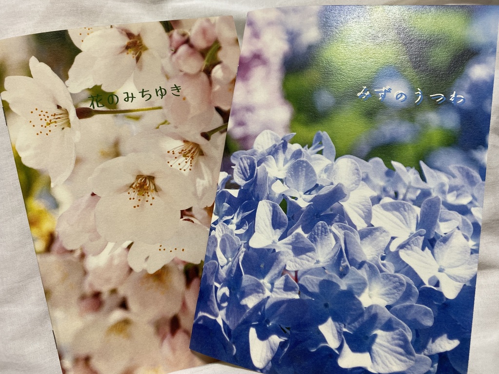 2019年さくら、紫陽花本セット