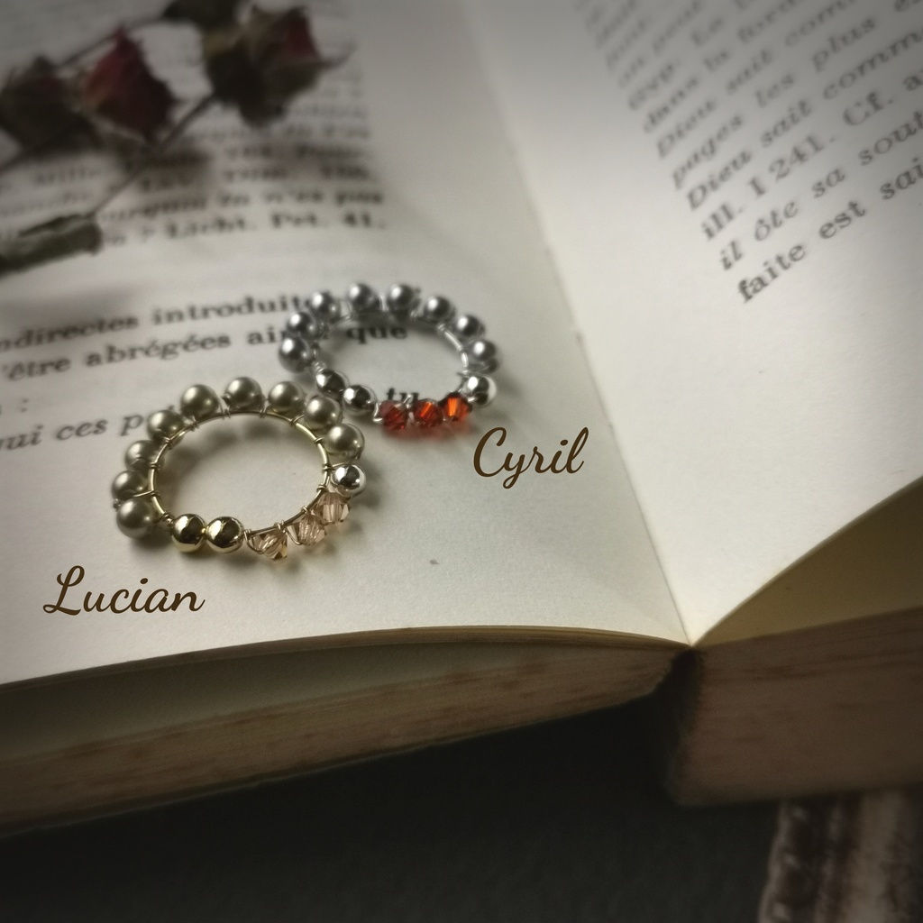 イケメン王子「彼の囁きを耳もとに」イヤーアクセサリー(片耳)