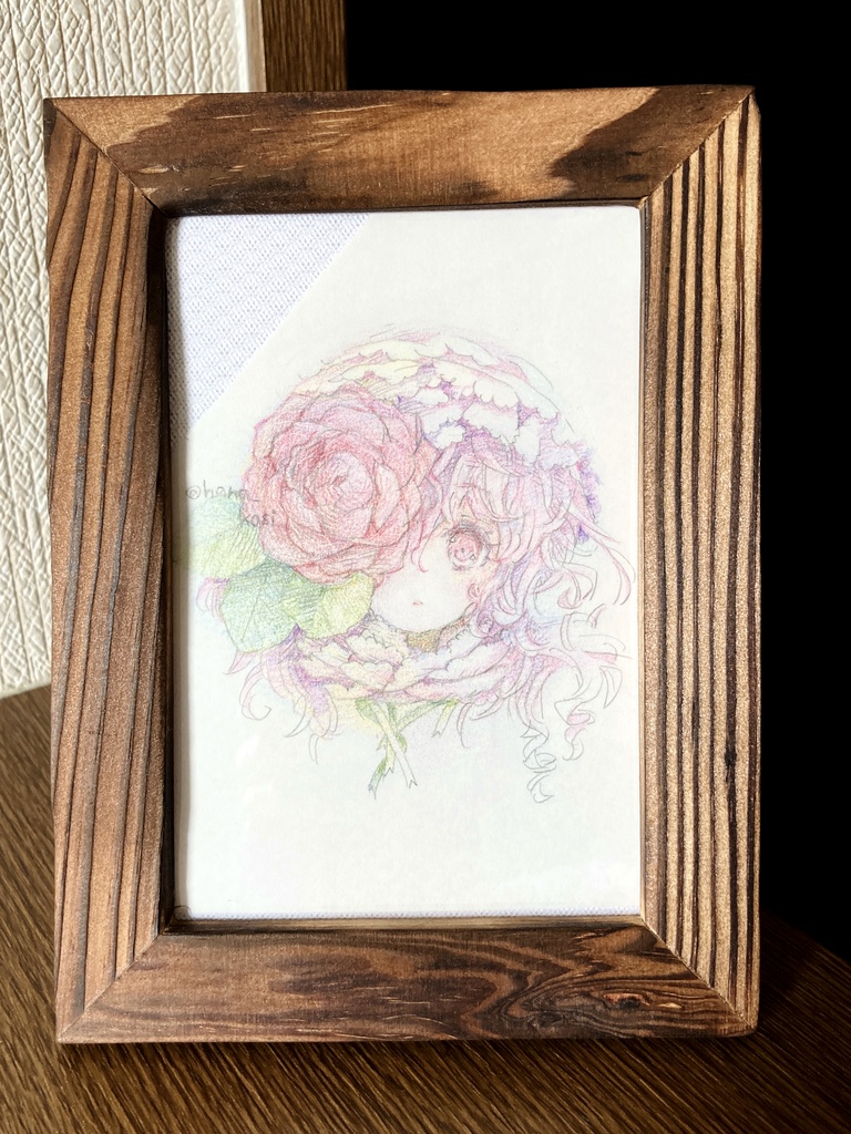 「乙女椿」原画