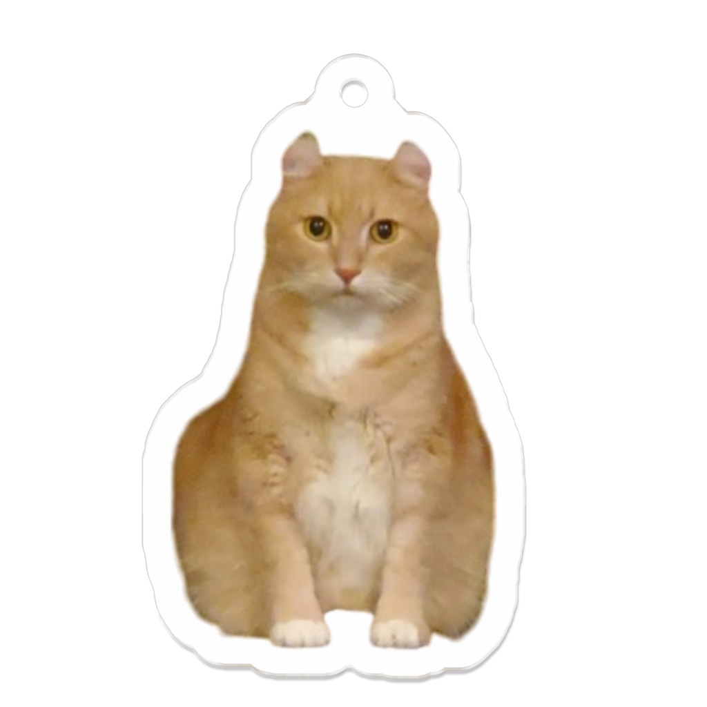 こーちゃんアクリルキーホルダー