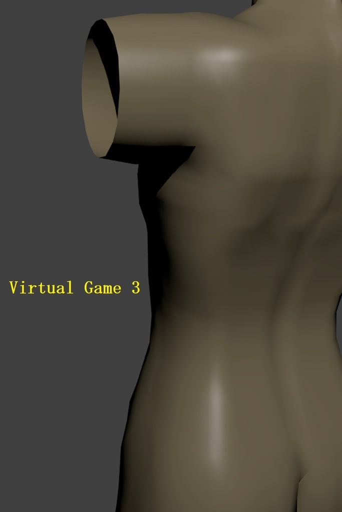 Virtual Game 3
