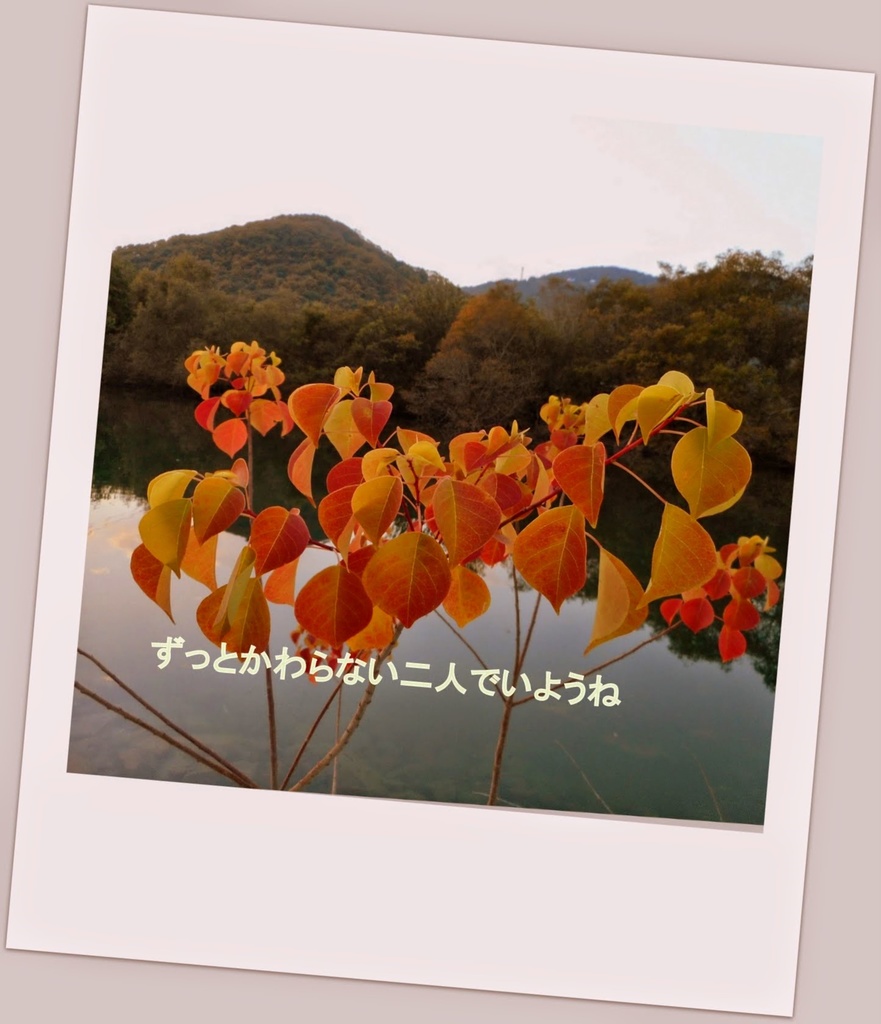 スマホリング 大切な人に贈りたいシリーズ