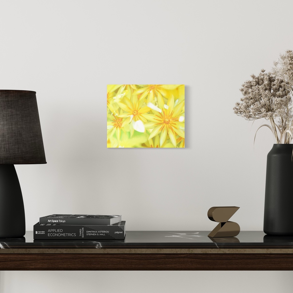 Sunny Flowers(ひなたのはな)