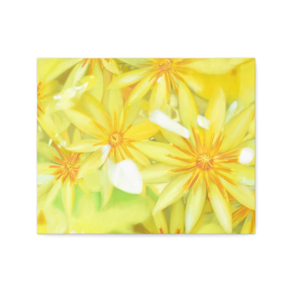 Sunny Flowers（ひなたのはな）