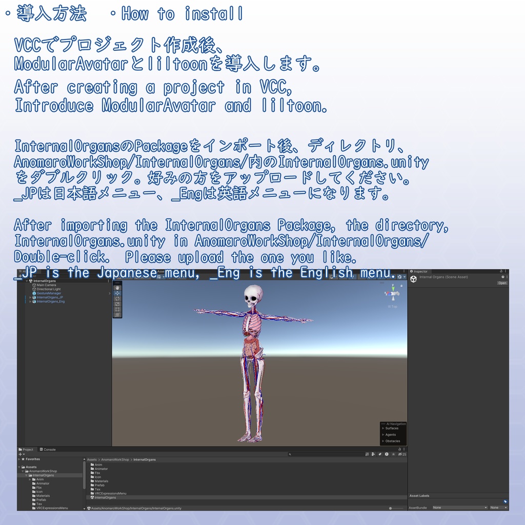 VRChatアバター 内臓(女性)Ver2