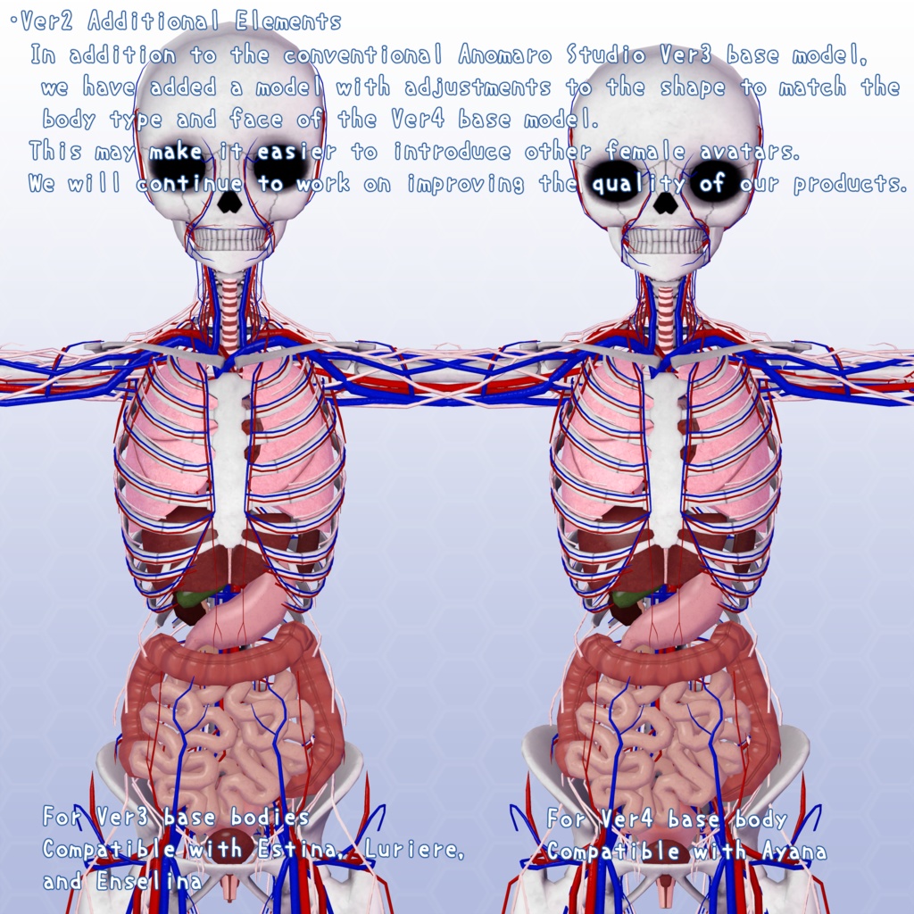 VRChatアバター 内臓(女性)Ver2