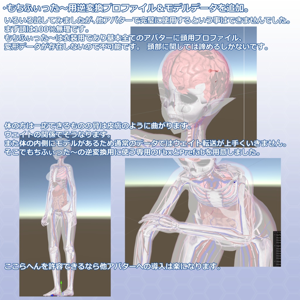 VRChatアバター 内臓(女性)Ver2