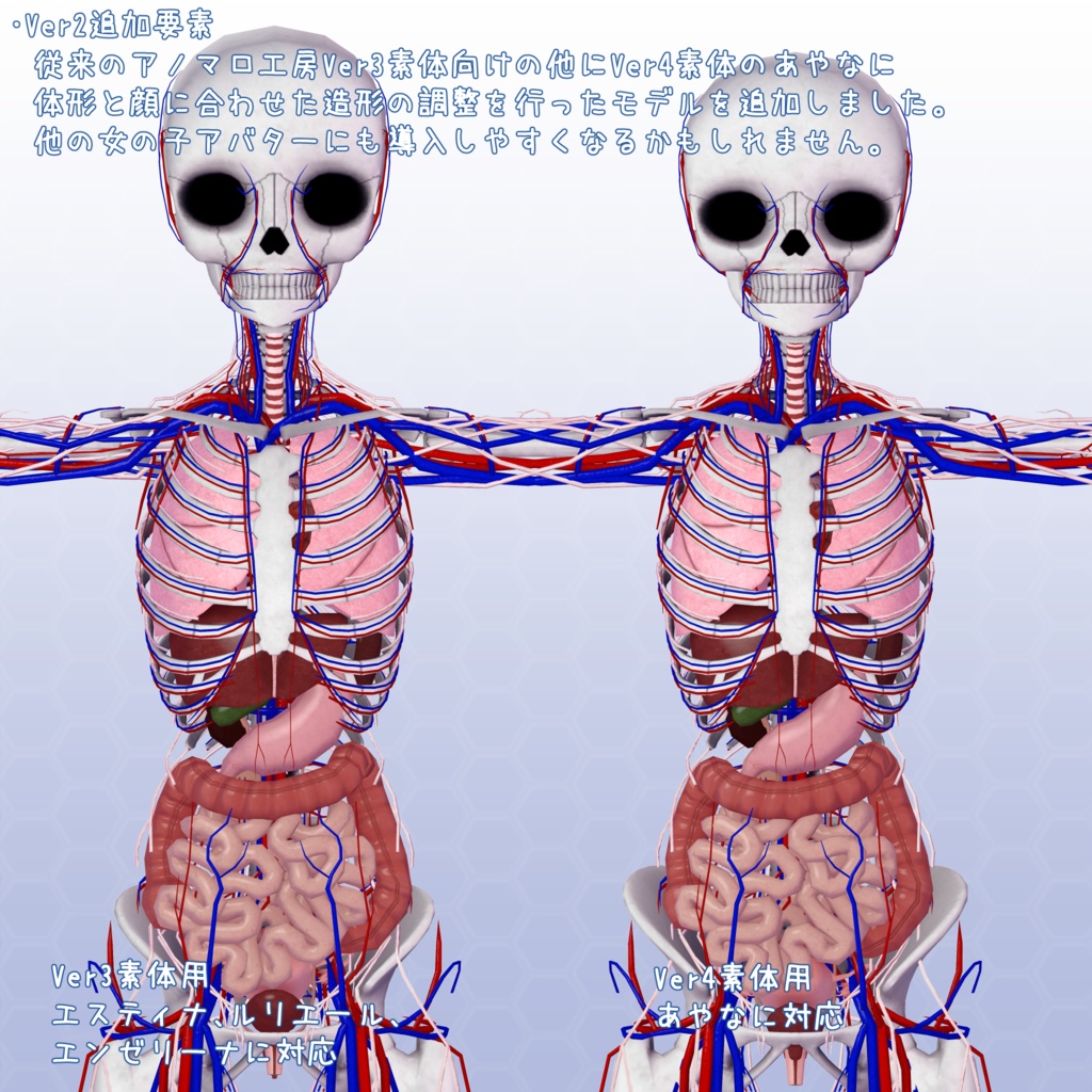 VRChatアバター 内臓(女性)Ver2