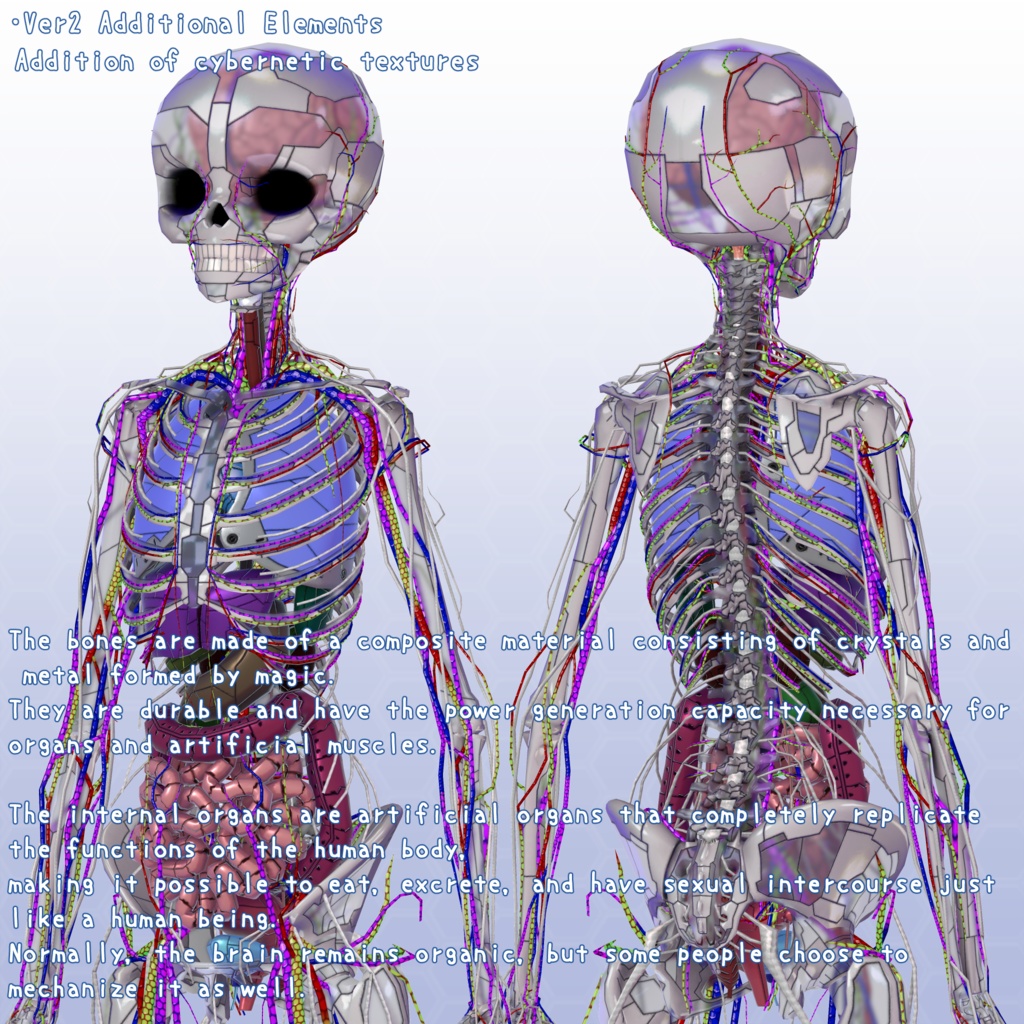 VRChatアバター 内臓(女性)Ver2