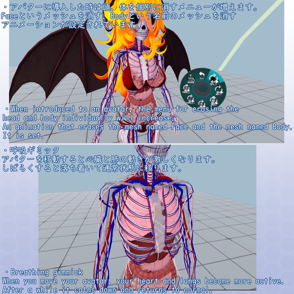 VRChatアバター 内臓(女性)Ver2