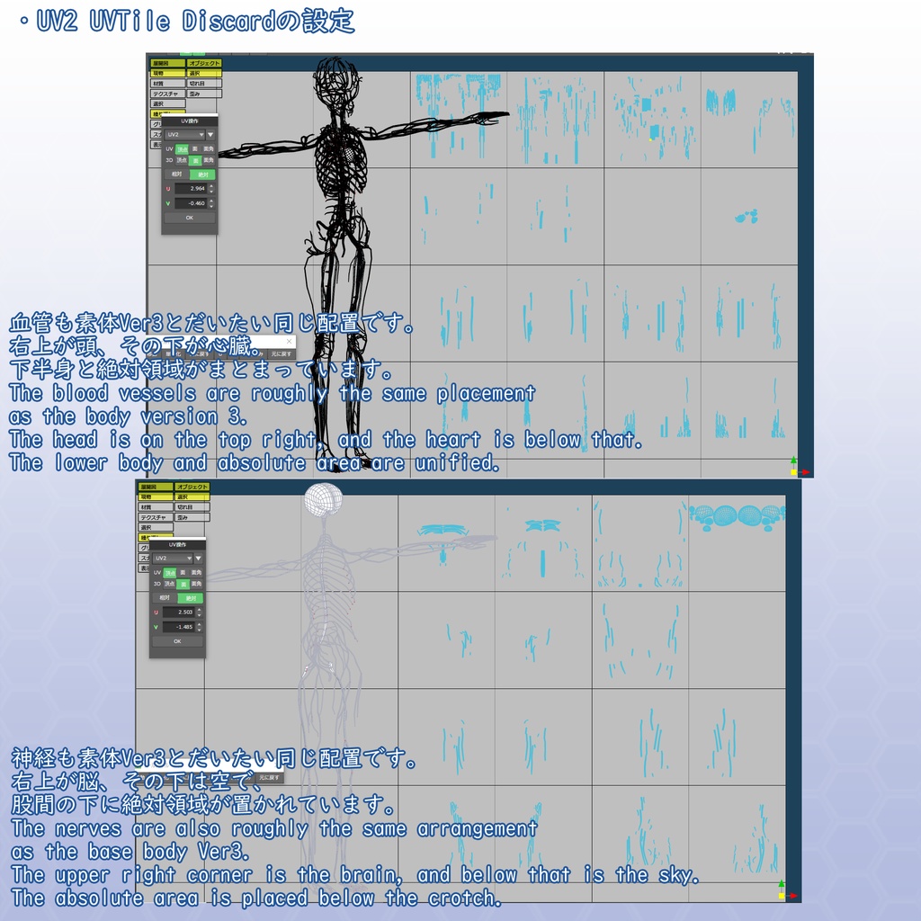 VRChatアバター 内臓(女性)Ver2