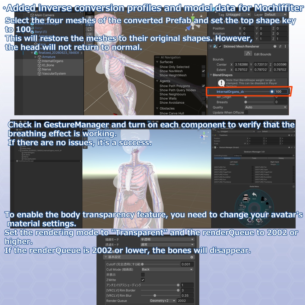 VRChatアバター 内臓(女性)Ver2