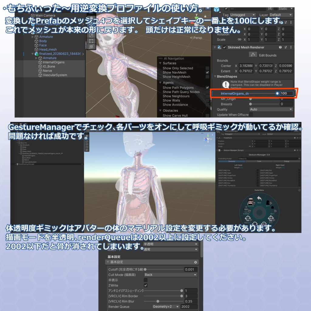VRChatアバター 内臓(女性)Ver2