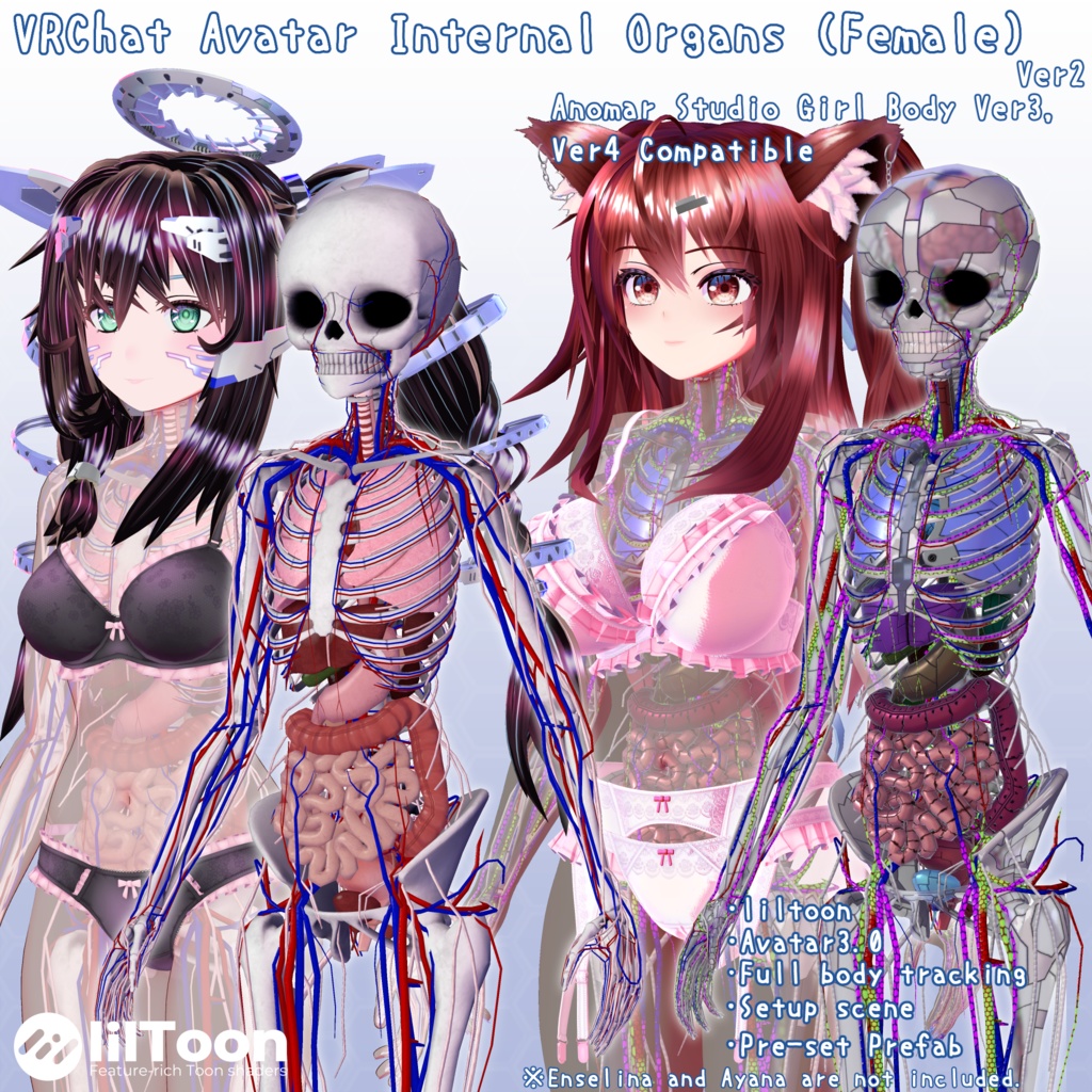 VRChatアバター 内臓(女性)Ver2