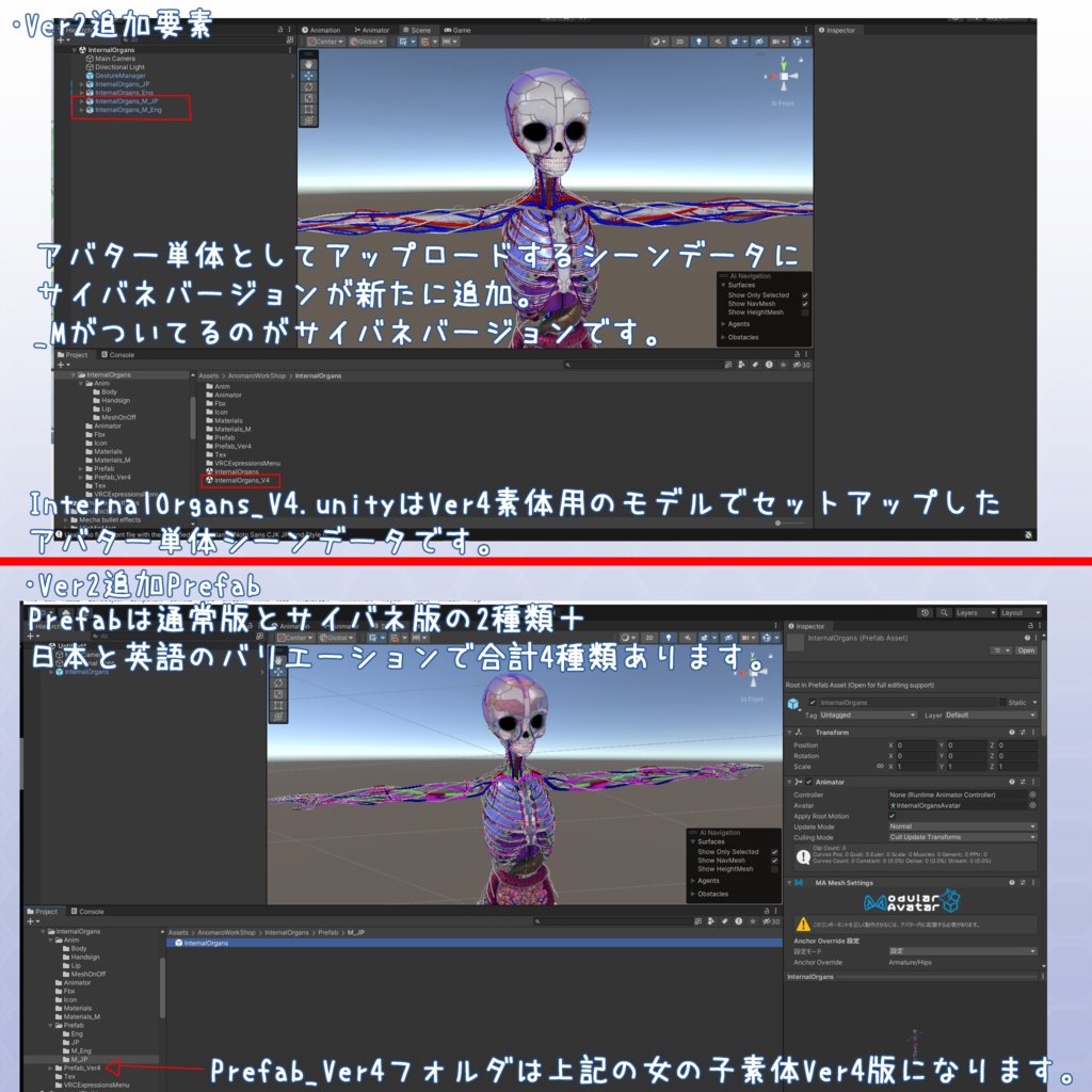 VRChatアバター 内臓(女性)Ver2