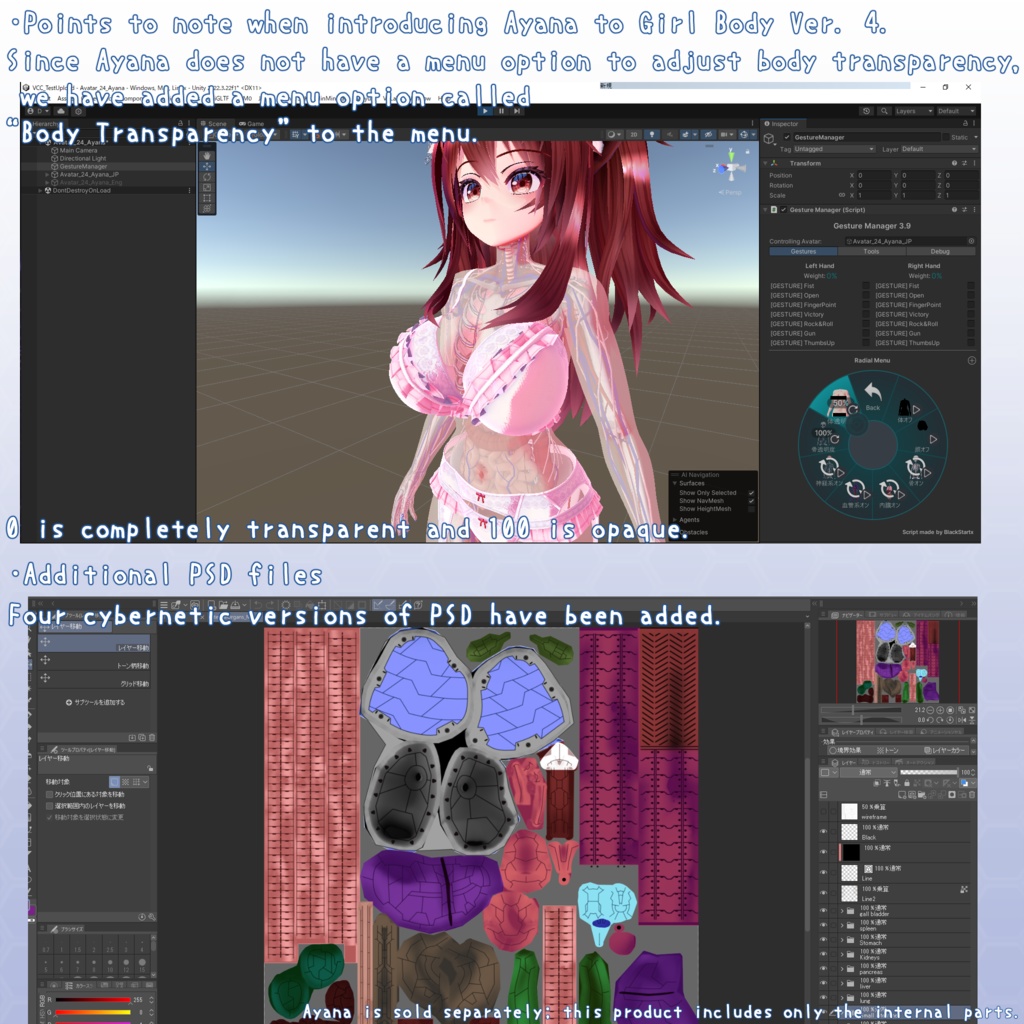 VRChatアバター 内臓(女性)Ver2