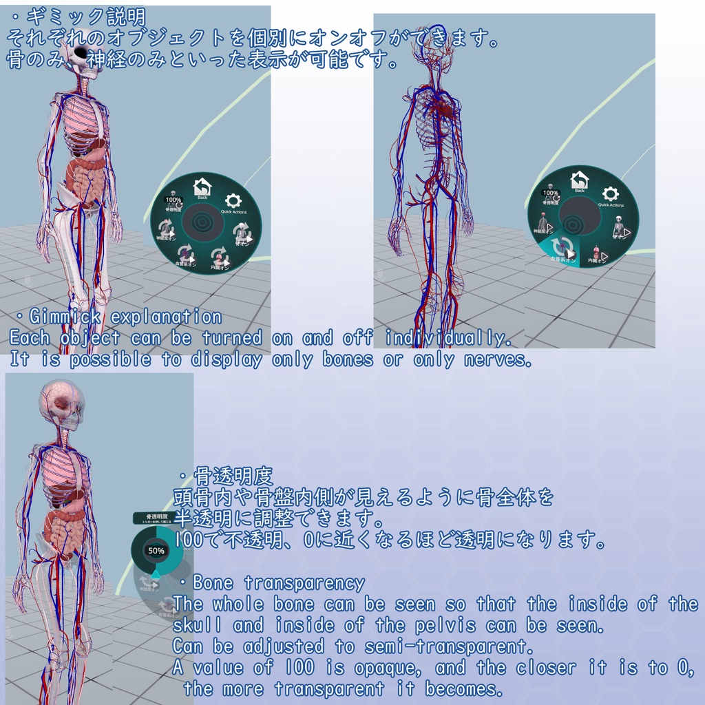 VRChatアバター 内臓(女性)Ver2