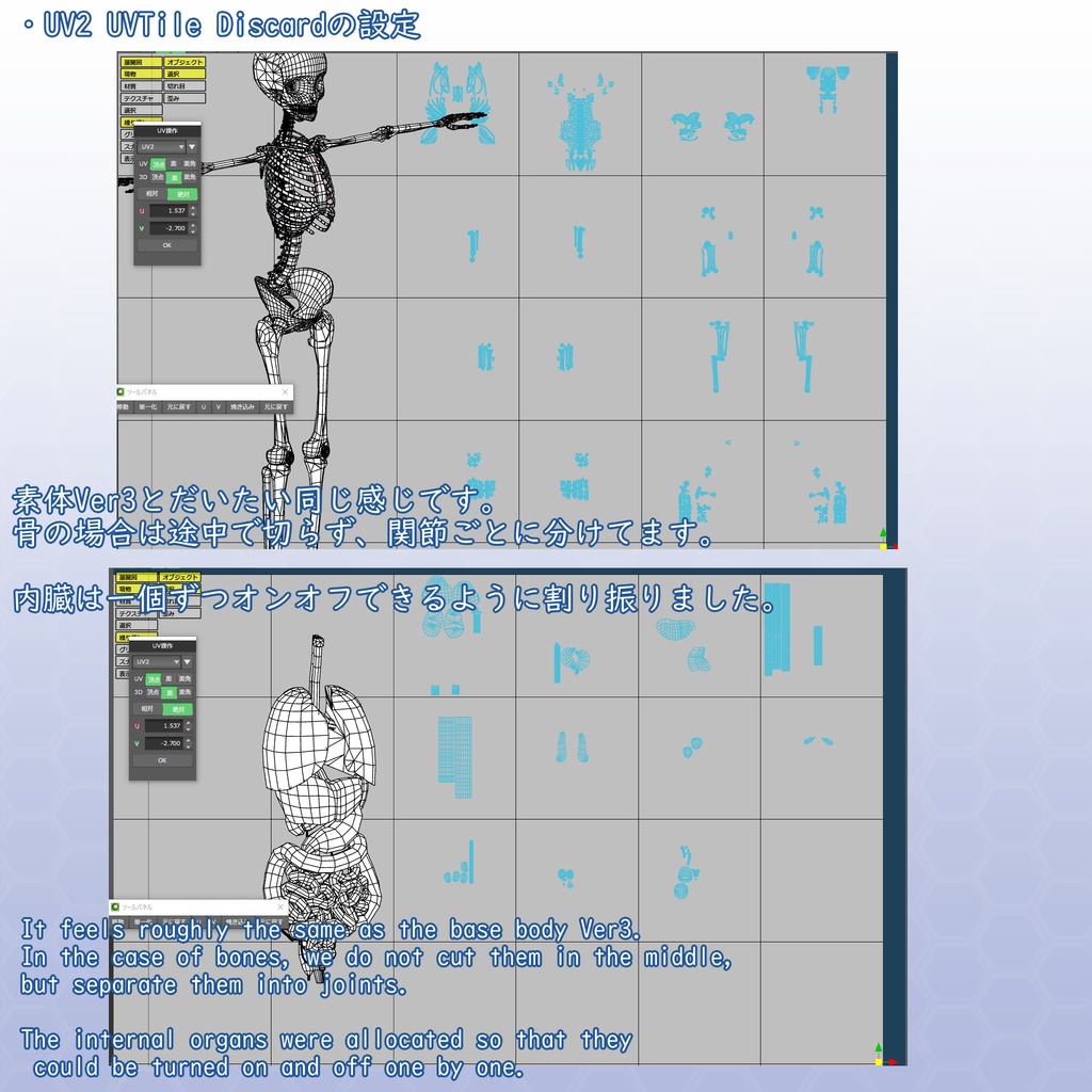 VRChatアバター 内臓(女性)Ver2