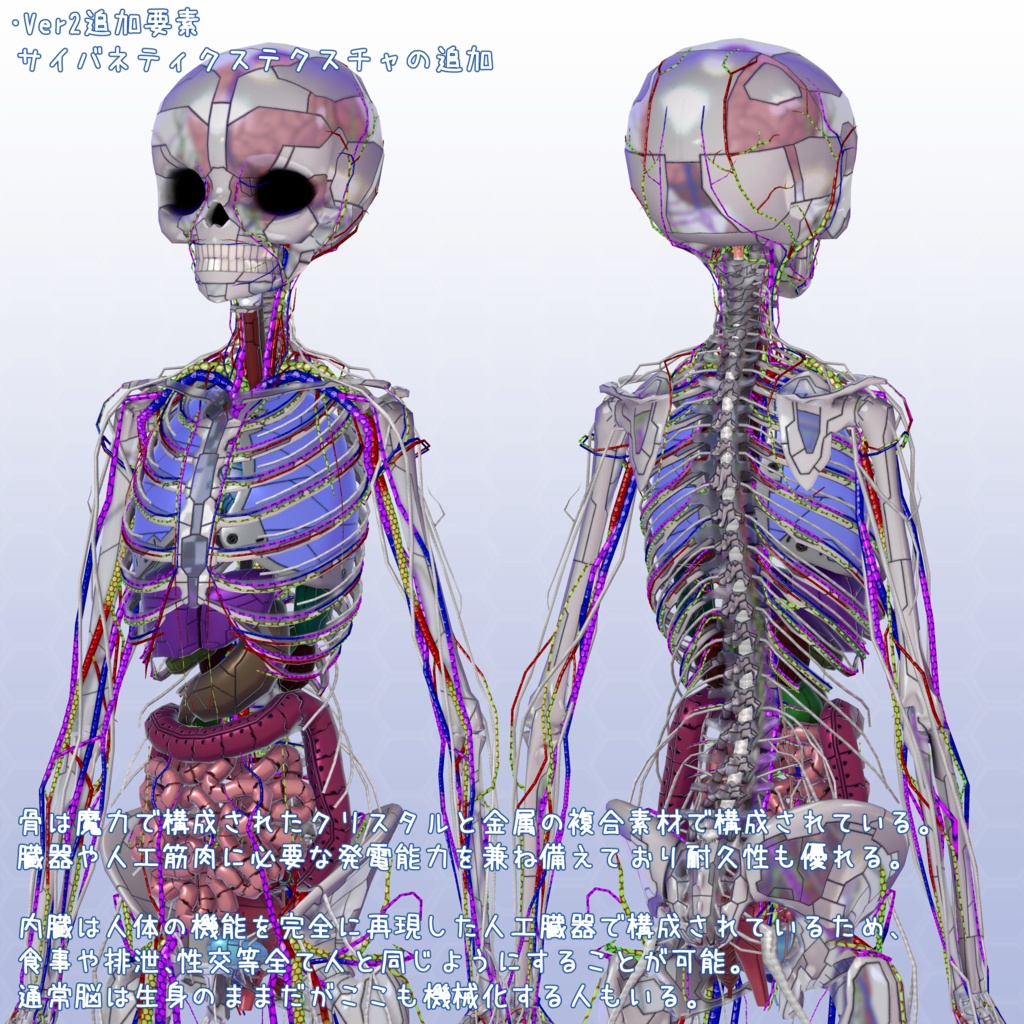 VRChatアバター 内臓(女性)Ver2