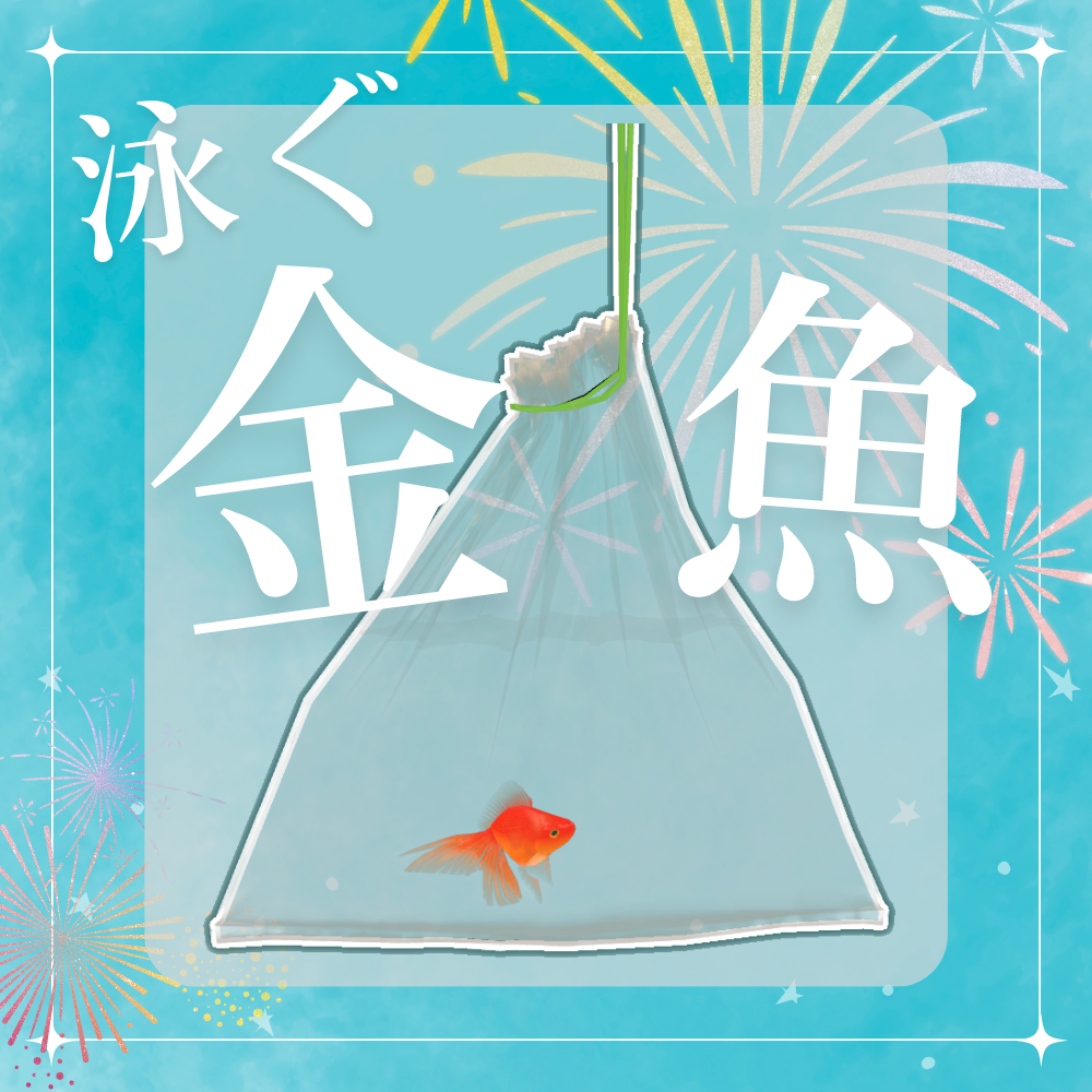 泳ぐ！金魚すくいの金魚