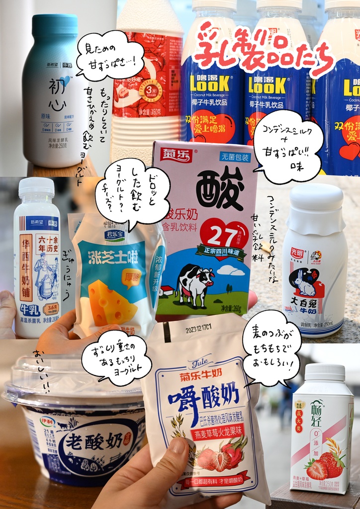 【紙|A5版】よく麺をすすりパンダをじっとりながめる成都・雅安の旅