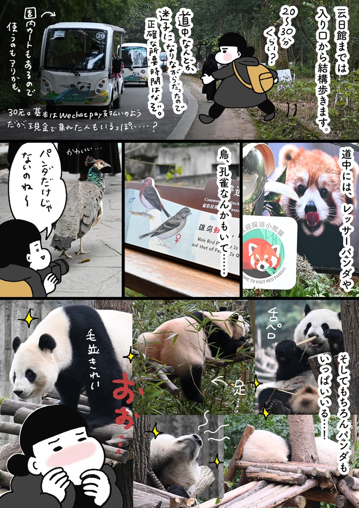 【紙|A5版】よく麺をすすりパンダをじっとりながめる成都・雅安の旅