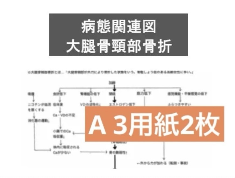 【PDF】大腿骨頸部骨折　一般病態関連図　看護学生向け
