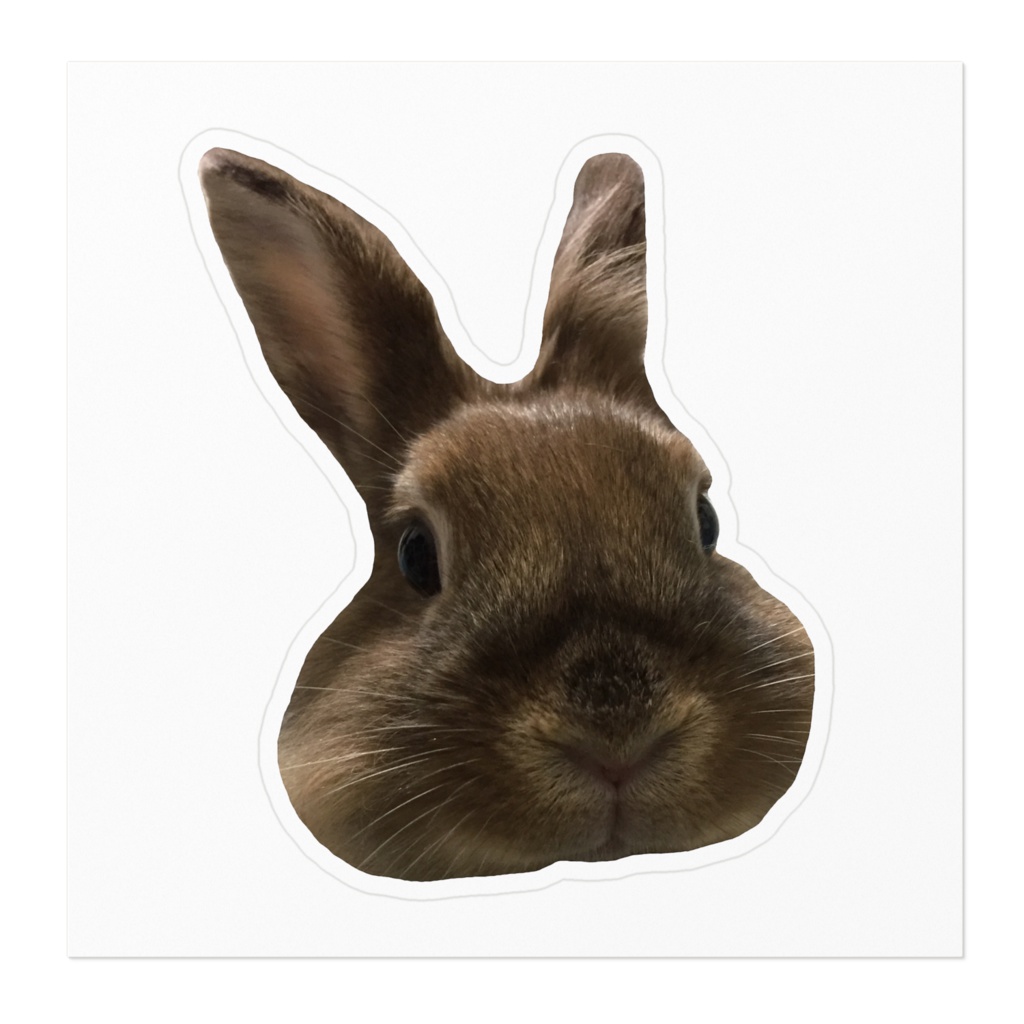 うさぎの顔がドーンステッカー