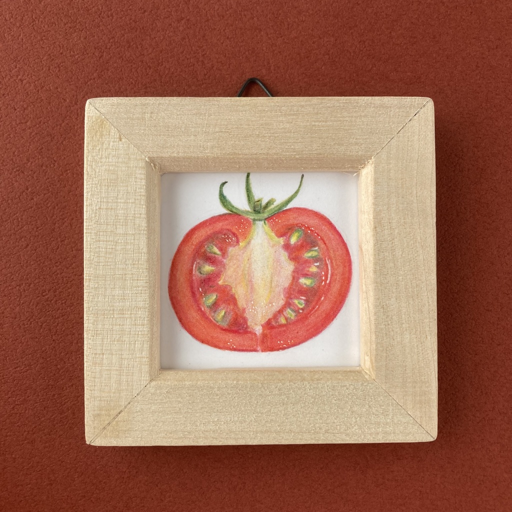 トマトの断面の色鉛筆イラスト【原画・ミニ額】