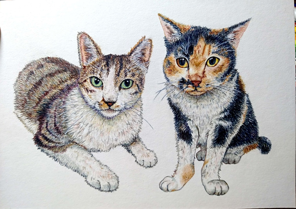 ペット肖像画・イラスト