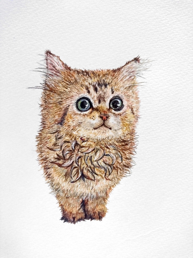 ペット肖像画・イラスト