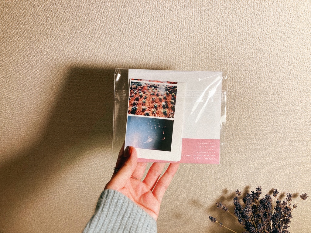 This Is Not A Goodbye Forever / CD - Fruits