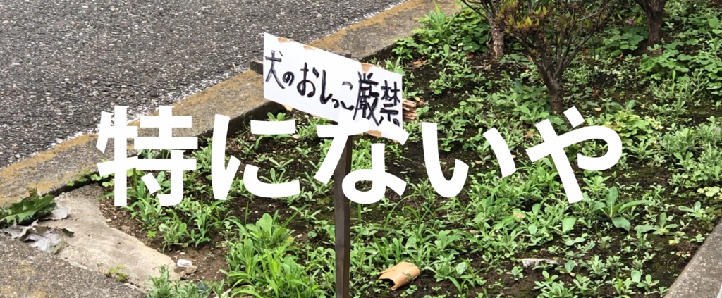 『サクレ』- てれかす × わすわす
