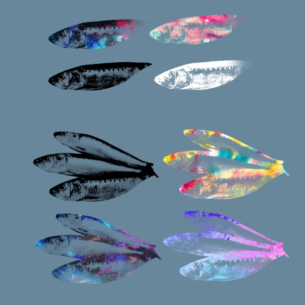 ココフォリア素材お裾分け場所5