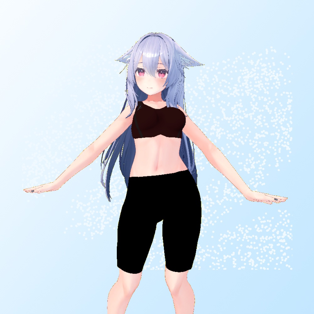 スポーツウェア4点セット シャツ+スポーツブラ、ボトムス、スパッツのセット