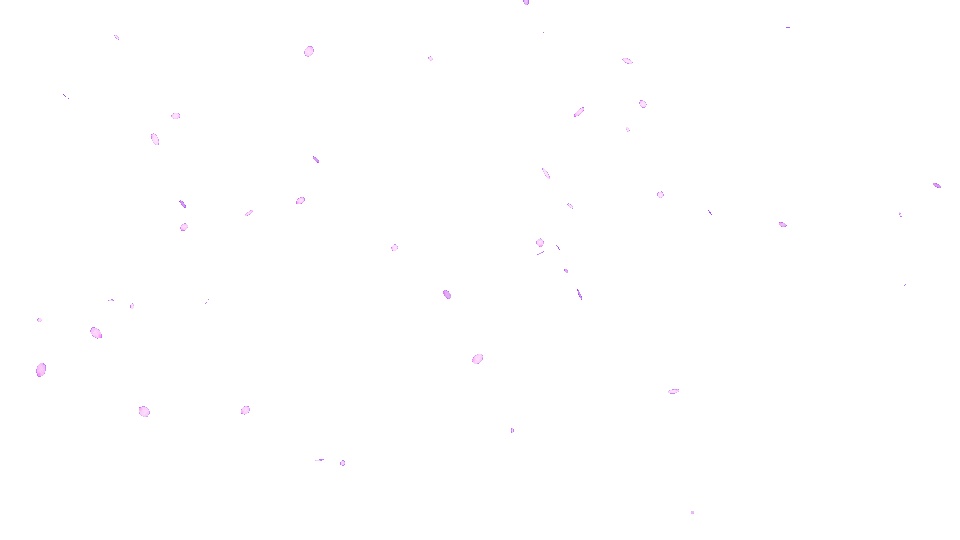 桜吹雪 透過素材 空転海 Booth
