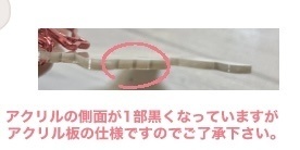 白雨ネコアクキー