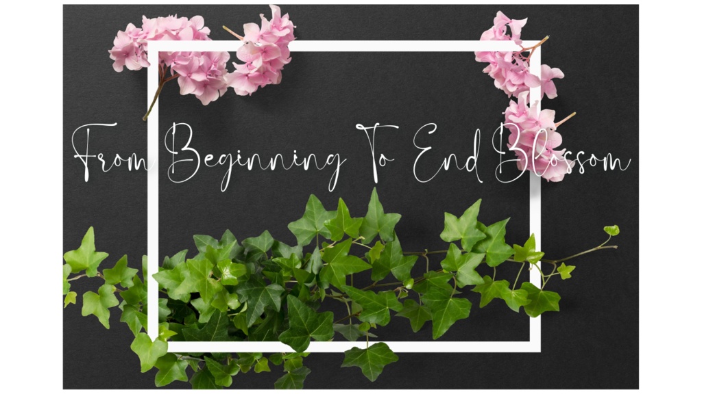 【PDF版】クトゥルフ神話TRPG From Beginning To End Blossom