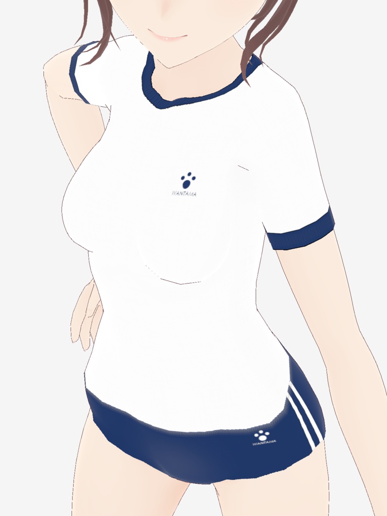 【紺色】ブルマ&体操服セット【ワン玉ブランド】※修正済み