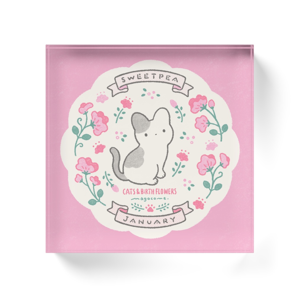 【CATS & BIRTH FLOWERS】1月