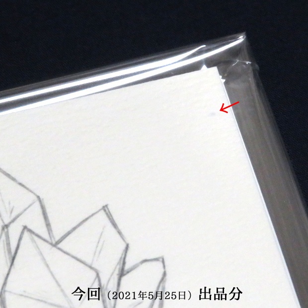 【アウトレット】塗り絵カード