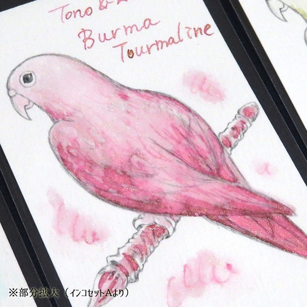 塗り絵カード着色セット EC-1