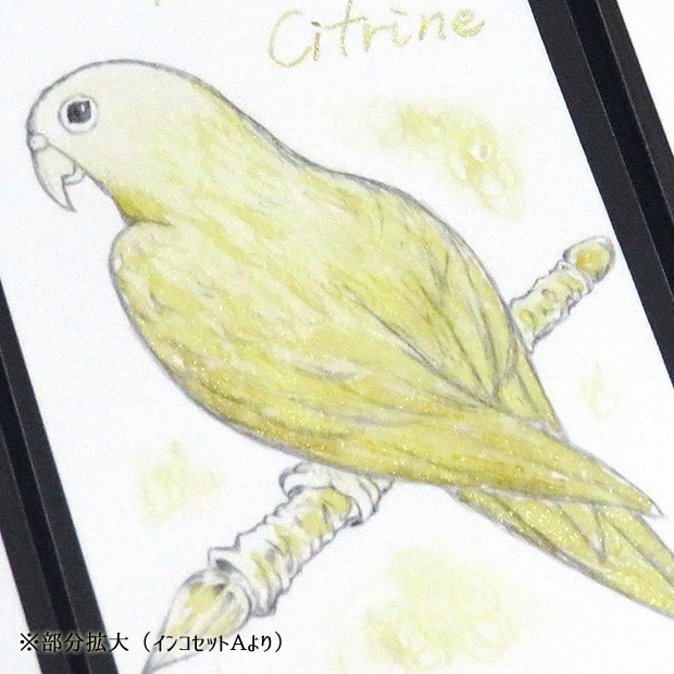 塗り絵カード着色セット EC-1